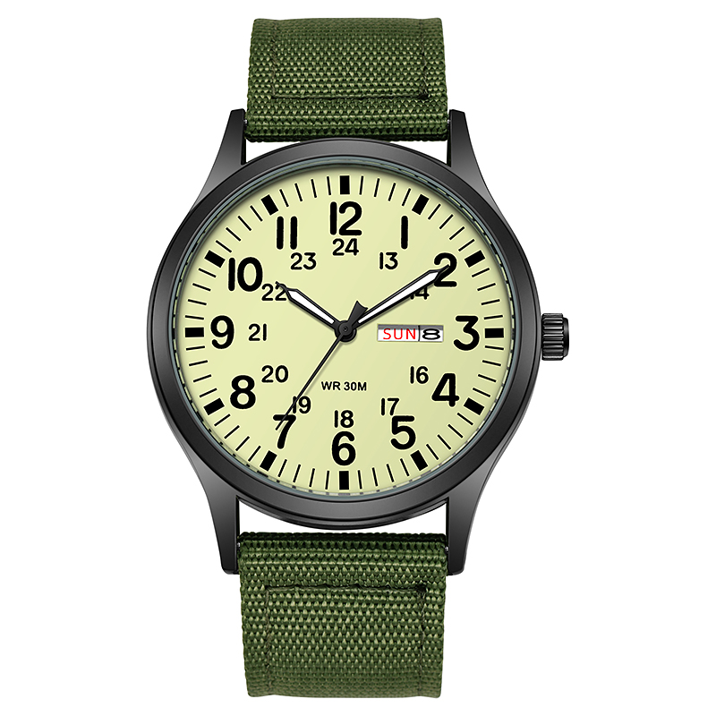 2024 TPW Field Watch Easy Read - مراجعة Field Watch Military وسعره